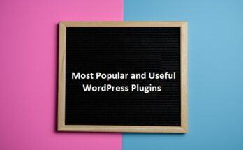 wp-pluin1