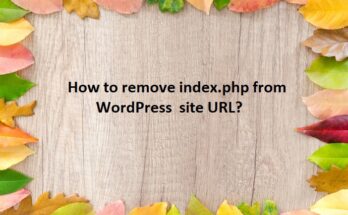 wordpress1